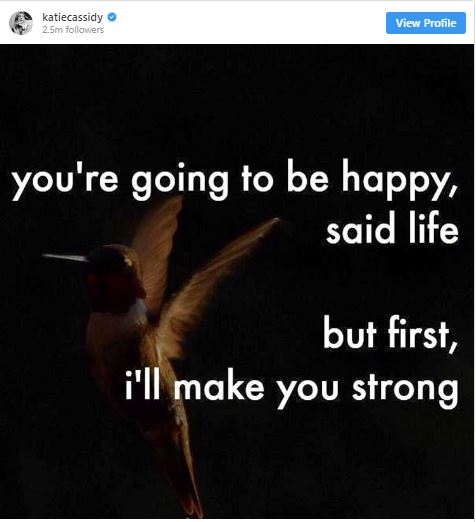 Katie Cassidy post on Instagram after filing for divorce with husband, Matthew Rodgers. Are they really spliting? What is the main reason behind their divorce